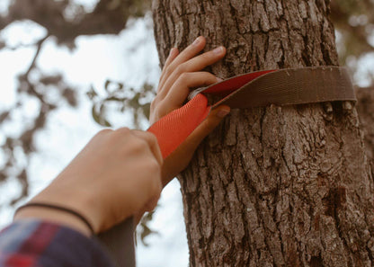 Kammok Python 15 Hammock Straps
